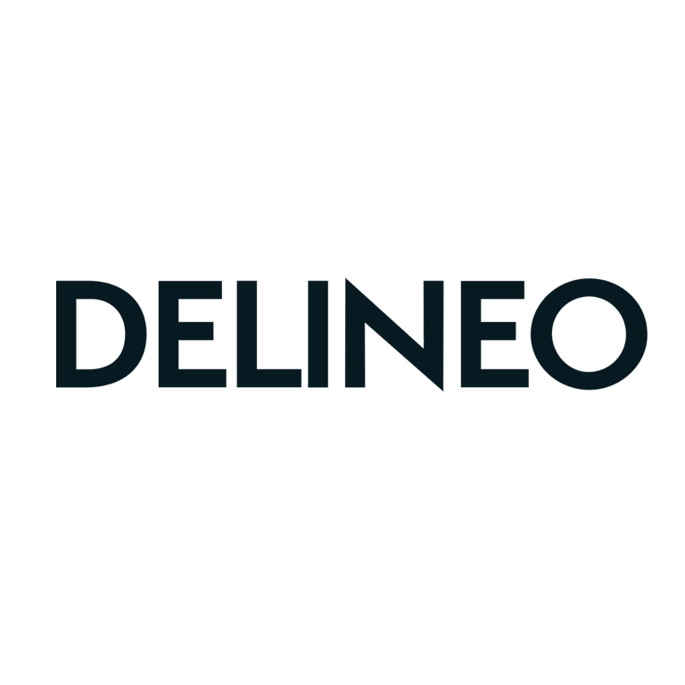 Delineo_Brand_Logo_Black_RGB_small-hatless